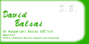 david balsai business card